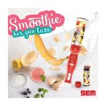 Sk 210 S Smoothıe Blender Kırmızı Veya Mürdüm